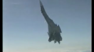 Sukhoi Su33 Cobra Maneuver [upl. by Eerac803]