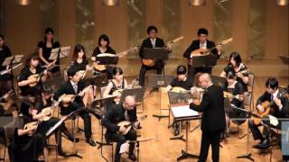 J N Hummel MandolinConcert 1 Mov Steffen Trekel amp ARTE TOKYO [upl. by Tiff805]