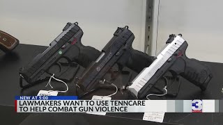 Lawmakers hope to use TennCare to help fight gun violence [upl. by Akema802]