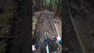 the hardest trail Ive ever ridden 🔥🤟 canyonbikes mtb downhill djiosmoaction4 mtblife [upl. by Nesyrb]