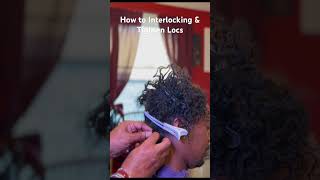 How to Interlock Locs Using the Y Technique dreadlocks interlockingdreadlocks [upl. by Leva793]