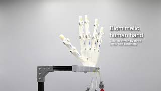 ELECTRICALLYDRIVEN PHASE TRANSITION soft ACTUATORS TENDONDRIVEN BIOMIMETIC ROBOTIC HAND [upl. by Ainad]