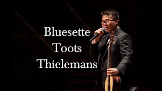 Bluesette by Toots Thielemans arr Roland Dyens [upl. by Eissolf46]