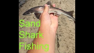 Sand Shark Fishing [upl. by Dnalra]