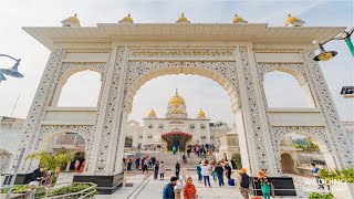 25102024 Official DSGMC  Gurbani Kirtan  Live Gurdwara Bangla Sahib [upl. by Novia947]