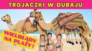 DUBAJ 10  Wielbłądy na plaży  Jesteśmy na palmie 🌴 [upl. by Rosse]