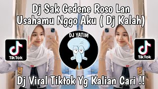 DJ KALAH  DJ SAK GEDENE ROSO LAN USAHAMU NGGO AKU VIRAL TIKTOK TERBARU 2024 [upl. by Llerehc]