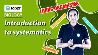 Introduction to systematics  Classification and nomenclature  Class 11 Biology CBSENCERT [upl. by Jacinda]