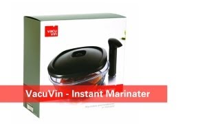 Vacu Vin Instant Marinater Review  Damn Good Reviews [upl. by Lisabet]