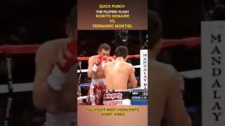 NONITO DONAIRE VS FERNANDO MONTIEL  FULLFIGHT MOST HIGHLIGHTS SHORT VIDEO 🥊 [upl. by Llewon82]