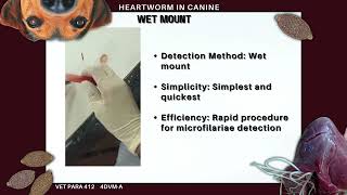 VET PARA 2  Heartworm Lab 6  G3 23 [upl. by Ydnih696]