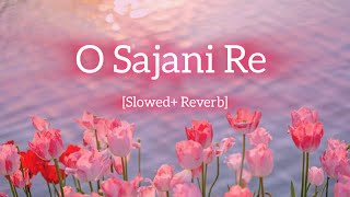 Sajani Re Lyrics Song Video 💗SlowedReverb Song osajanire [upl. by Ashjian]