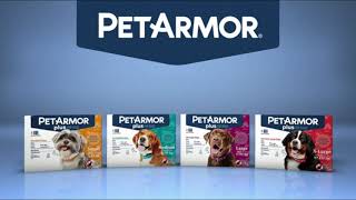 Before You Buy PetArmor Plus for Dogs Flea and Tick Prevention for Dogs [upl. by Dryfoos959]