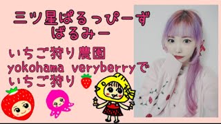 【いちご狩り】いちご全種類狩って食べ尽くす！Yokohama VeryBerry ヨコハマ ベリーベリー [upl. by Idak]