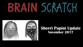 BrainScratch Sherri Papini  November 2017 Update [upl. by Ytissahc]