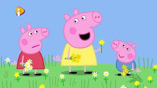 Peppa Pig S06E10 Buttercups Daisies and Dandelions [upl. by Aihcrop]