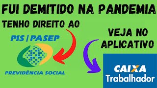 FUI DEMITIDO NA PANDEMIA TENHO DIREITO AO PISPASEP [upl. by Akemak]