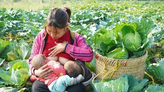 A single mother takes care of and raises two 3monthold children Harvest cabbage go to market sell [upl. by Prasad]