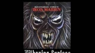 Withering SurfacePurgatory Iron MaidenCover [upl. by Eigla]