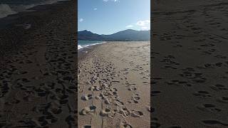 Malgré la tramontane 🌬️🌀 Loulou 🐕 à fait trempette 🌊 méditerranée [upl. by Hailed905]