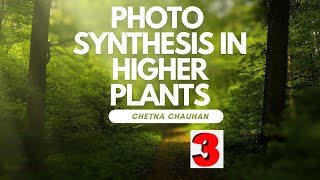 photosynthesis in higher plants lec 3 chemiosmosis [upl. by Royden11]