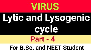 Lytic and Lysogenic cycle of Bacteriophage BSc 1st year virus topic lytic and lysogenic cy [upl. by Rossy]