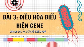 Bài 3 Điều Hòa Biểu Hiện Gene Operon Lac ở E coli  Bài Giảng Chi Tiết Sinh Học Lớp 12 [upl. by Anitsrhc]