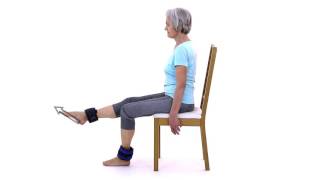 Falls Prevention Leg Kicks Sitting with Weights [upl. by Ylera]