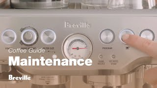 The Barista Express®  How to easily perform a clear water backflush on your machine  Breville USA [upl. by Odrahcir685]