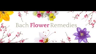 Bach Flower remedies short description of all remedies [upl. by Emilie]