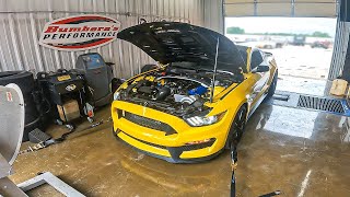 BIG POWER Procharged SHELBY GT350 SCREAMS on the DYNO [upl. by Haerle]