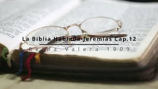 La Biblia Hablada Jeremías Cap 12 [upl. by Annocahs458]