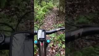 Orange Trail at the Water Authority mountainbike mountainbikelife trailriding specialized [upl. by Englis]