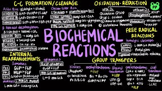 Biochemical Reactions  Principles of Metabolism 02  Biochemistry  PP Notes  Lehninger 6E Ch13 [upl. by Adgam]