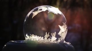 Watch soap bubbles freeze in real time [upl. by Atekal551]