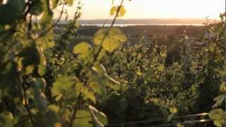 Wineries in Michigan  A Pure Michigan Summer [upl. by Nadual]