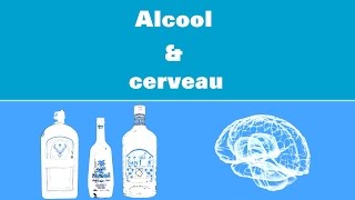 Santé amp vérité  L ALCOOL et la science  Dr JeanLuc Saladin [upl. by Ivets]