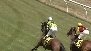 Tumut 02 11 2024 Race 1 [upl. by Cohby]