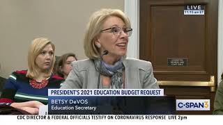 Bustos Questions Secretary of Education Betsy DeVos [upl. by Griselda]