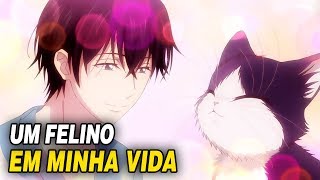 MEU COLEGA DE QUARTO É UM GATO  DOUKYONIN WA HIZA TOKIDOKI ATAMA NO UE  PRIMEIRAS IMPRESSÕES [upl. by Aneele]