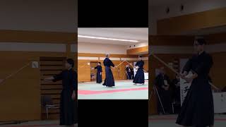 👀2 Hyoho NITENICHIRYUU HOSOKAWAStyle Swordsmanship WinStriking BeforeOpponentMove Kobudo [upl. by Lada]