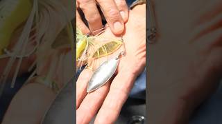 Larry Nixon’s ALLTIME favorite lure for FALL fishing [upl. by Edas391]