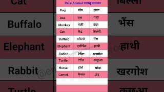 pets Animals name Hindi to English english spokenenglish learning education shorts [upl. by Nona]