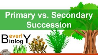 Primary vs Secondary Ecological Succession [upl. by Ayenet]