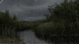 Heavy Rain amp Thunder  Rain sounds for Sleep  1 hour rain sounds for sleep [upl. by Tawsha]