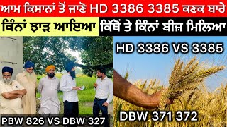 HD 3386  3385 Wheat Varieties … DBW 370  371  PBW 826 VS DBW 327 ਕਿਹੜੀ ਕਿਸਮ ਰਹੀ ਟੌਪ ਤੇ [upl. by Hakilam]