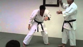 Bunkai Seminar 2013 Video 3 Morote Uke [upl. by Aleak218]