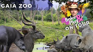 Bake amp Play on Tour  Gaia Zoo Kerkrade  Vlog [upl. by Adnamor748]