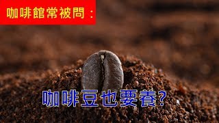 咖啡館常被問 Ep2 為什麼剛烘好的咖啡不能馬上喝 [upl. by Brendin]