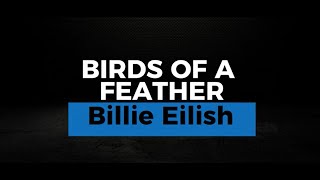 BIRDS OF A FEATHER KARAOKE BILLIE EILISH [upl. by Mumford]